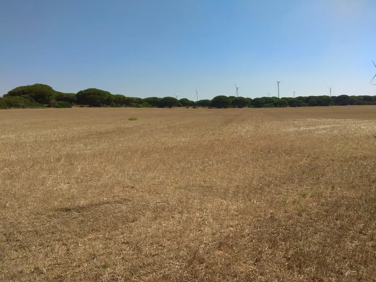 Terreno rustico in vendita a Puntales - Zona Franca, imagen 4