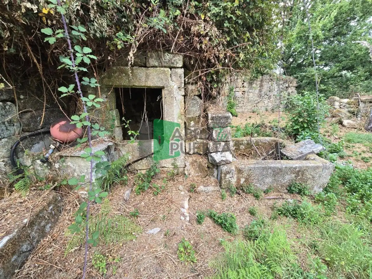 House with garden for sale in Coles, imagen 4