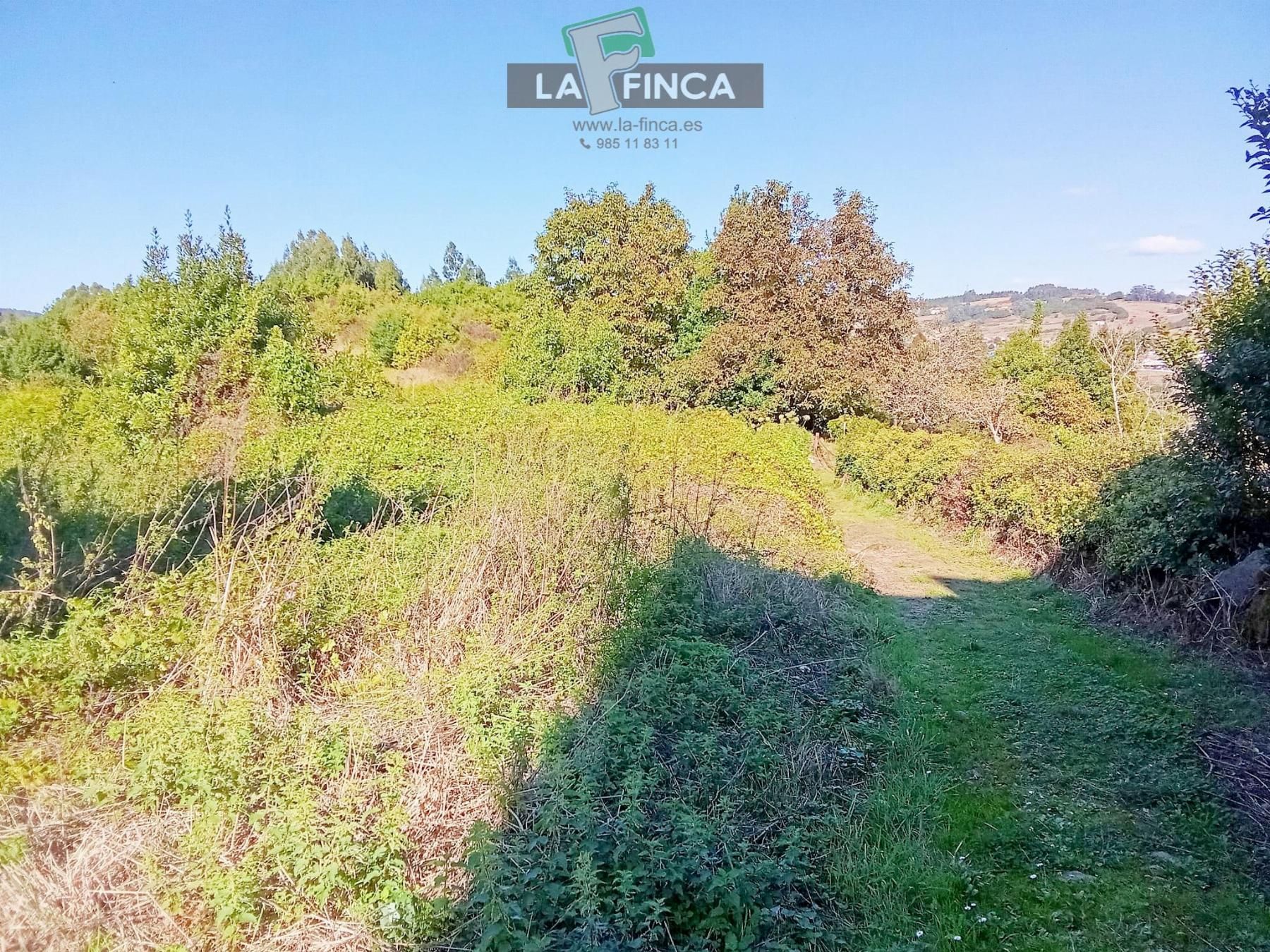 Country house for sale in Pravia