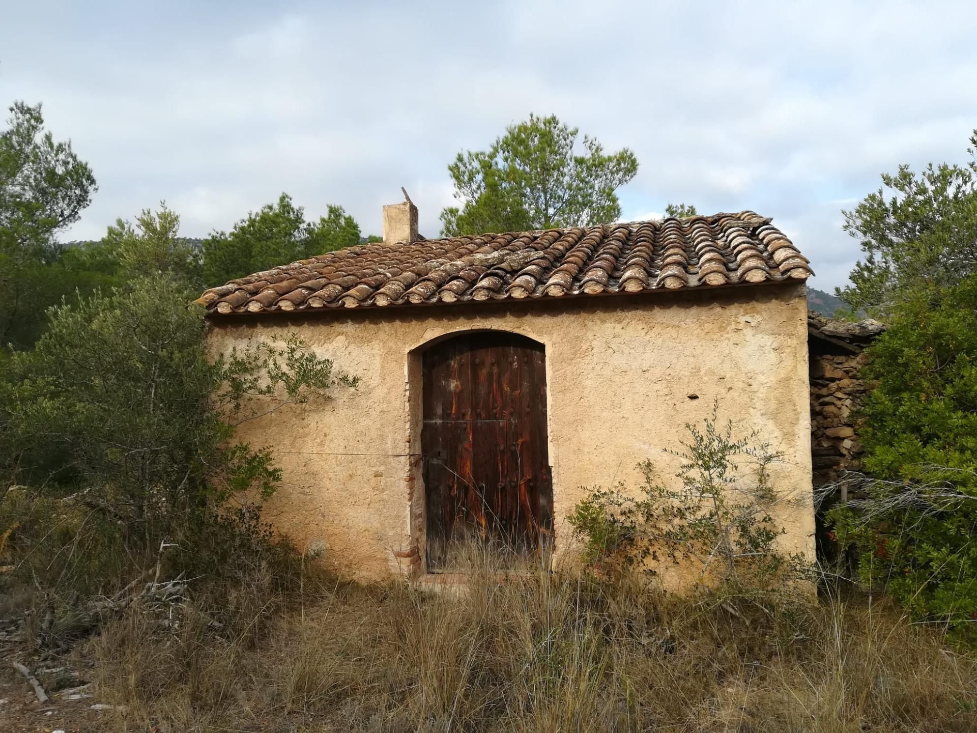 Exterior view of Land for sale in Vilanova d'Escornalbou
