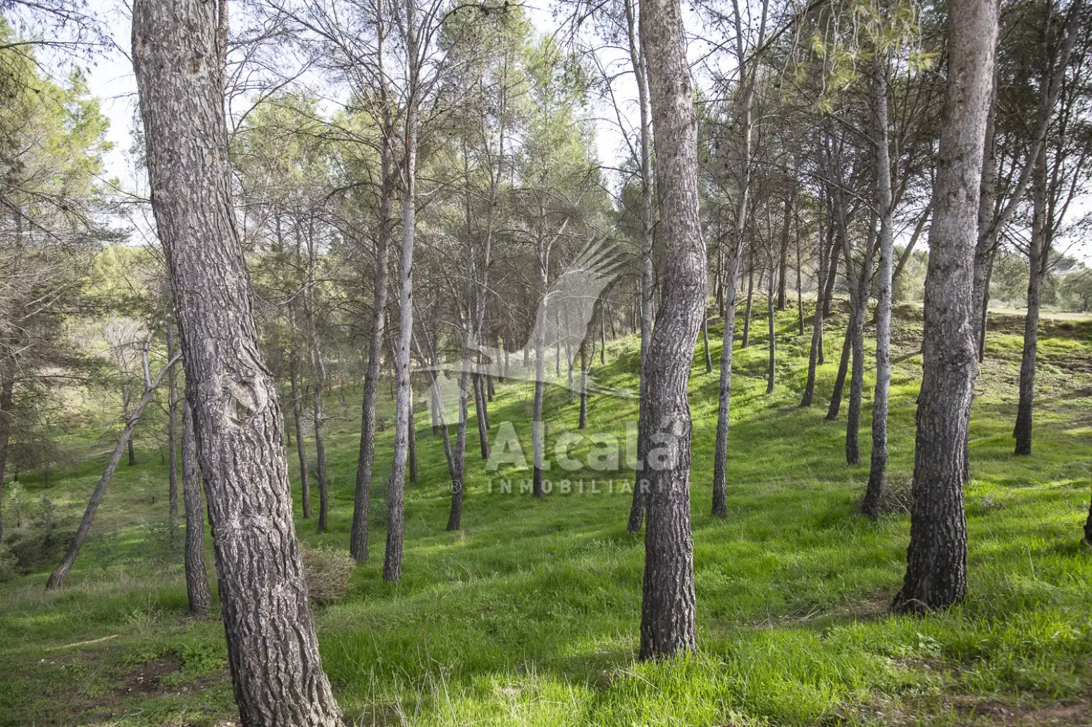 Terreny rústic en venda a Villalbilla pueblo, imagen 56