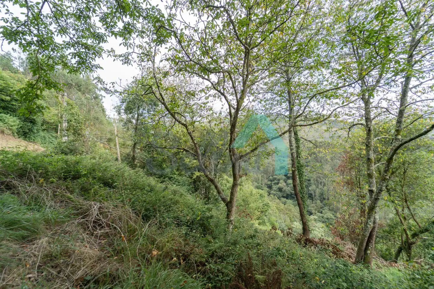 Habitatge amb jardí en venda a Arcallana, imagen 56