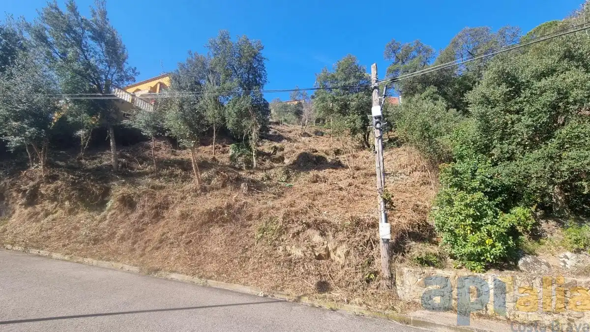 Wohnbaugrundstück zum Verkauf in Carrer Xiprer, imagen 6