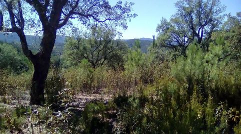 Foto 3 von Grundstücke zum Verkauf in Finca el Pozuelo, 1, Valdelarco, Huelva