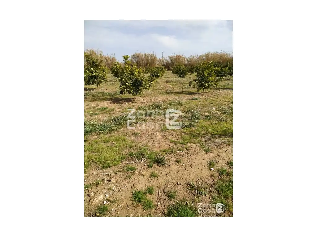 Country house for sale in Algemesí