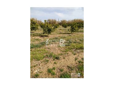 Country house for sale in Algemesí