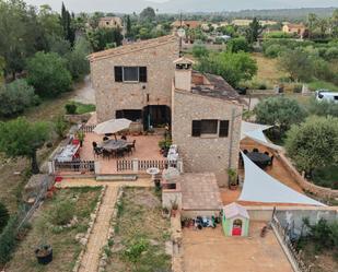Jardí de Casa o xalet en venda en  Palma de Mallorca amb Aire condicionat, Calefacció i Jardí privat