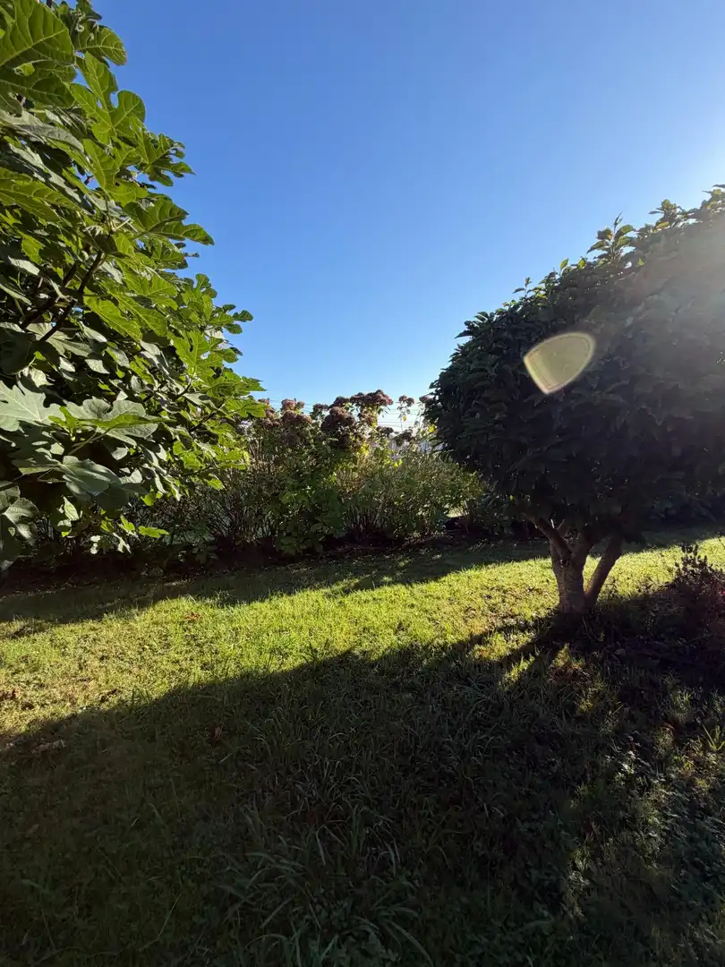 Xalet amb jardí en venda a Barrio del Villar, imagen 36