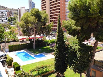 Swimming pool of Study for sale in Benidorm  with Community pool