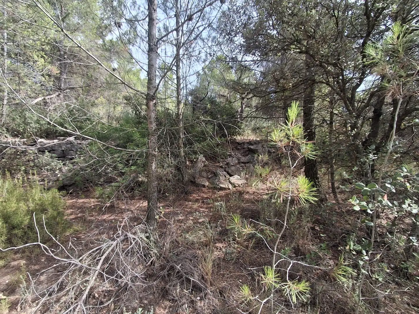 Rural land for sale in Gandesa, imagen 44