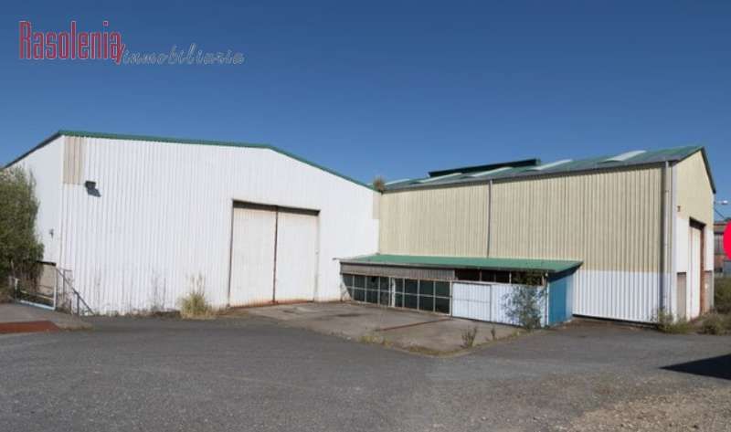 Exterior view of Industrial buildings for sale in Oleiros