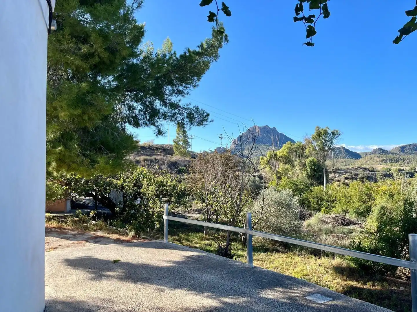 Vista exterior de Casa o chalet en venta en Cieza con Calefacción, Jardín privado y Trastero