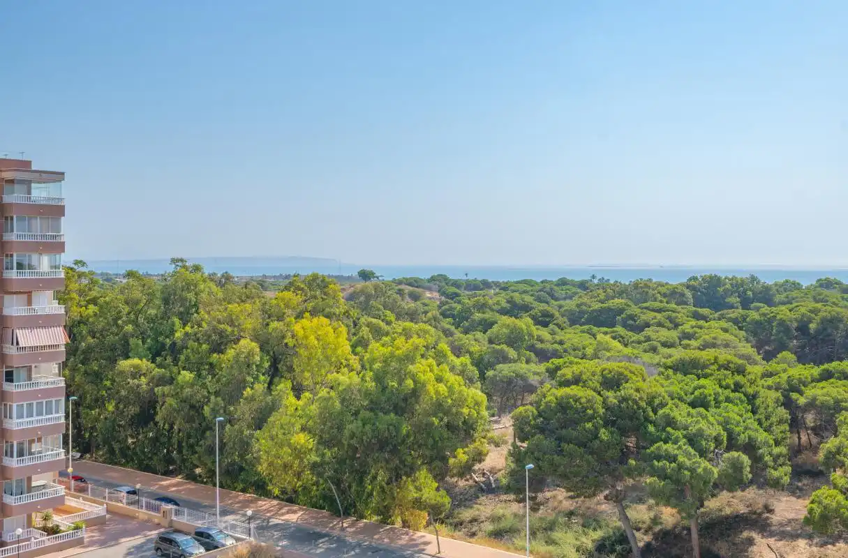 Vista exterior de Piso en venta en Guardamar del Segura con Aire acondicionado, Calefacción y Piscina