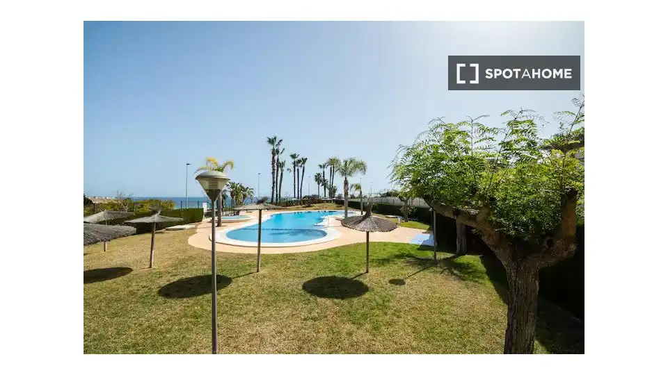 Swimming pool of Apartments for share in Pilar de la Horadada  with Air Conditioner, Terrace and Furnished