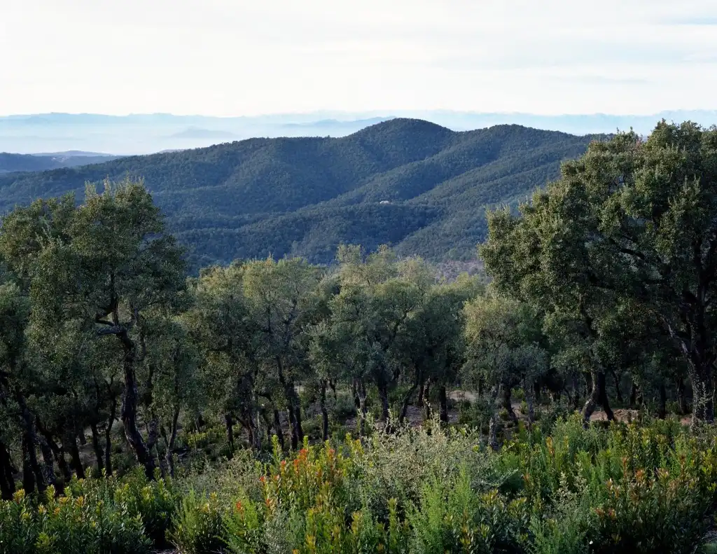 Casa o xalet en venda en Corçà amb Jardí privat, Terrassa i Traster