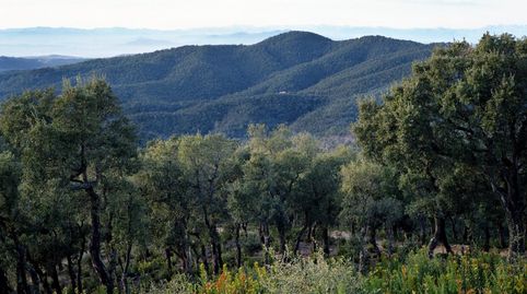 Foto 5 de Casa o xalet en venda a Corçà, Girona