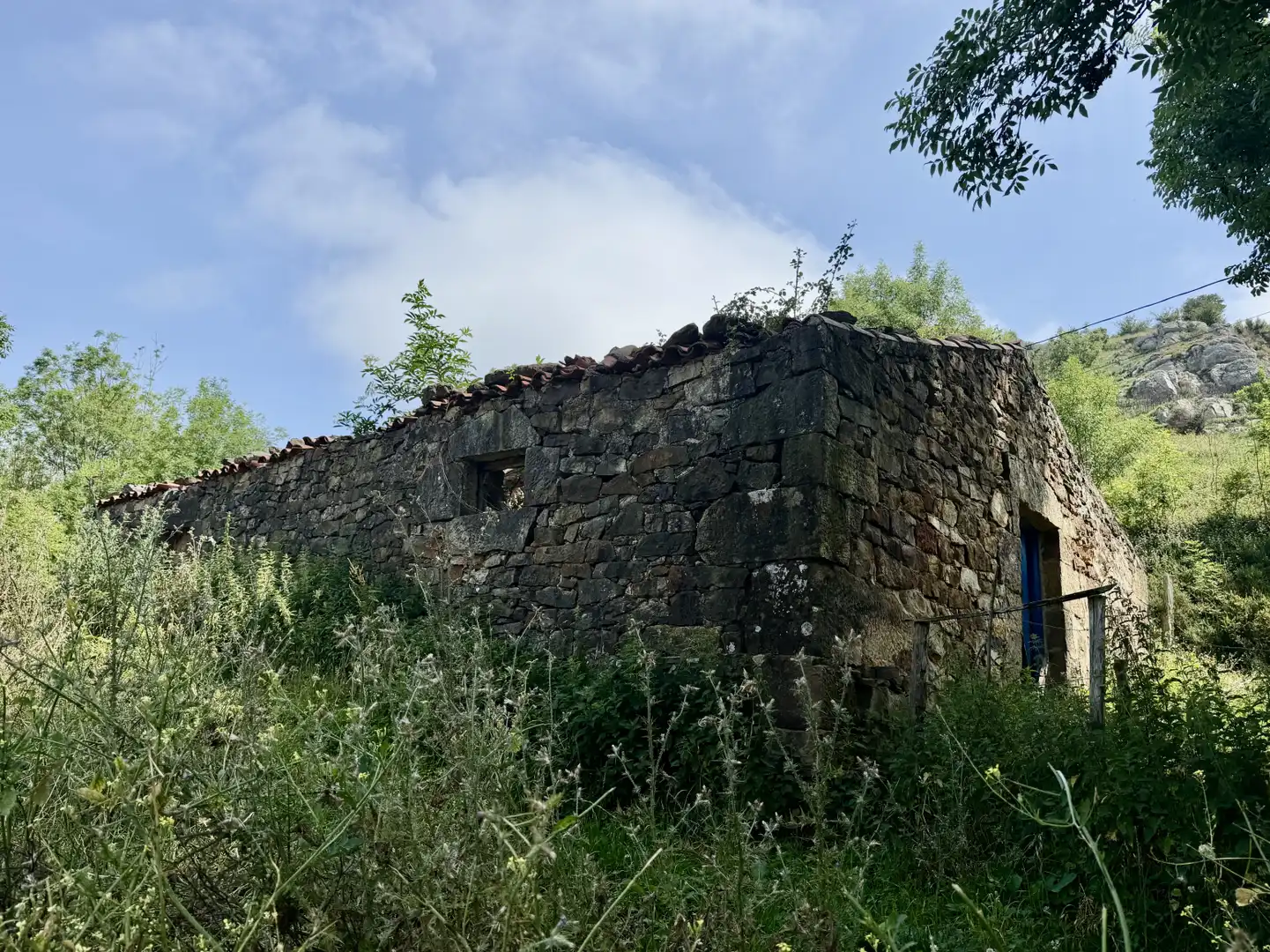 Vista exterior de Casa o chalet en venta en Liérganes con Jardín privado