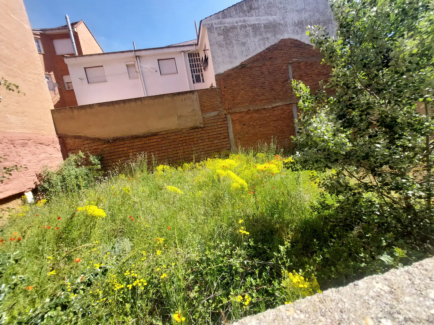 Grundstücke und Bauplätze zum Verkauf in Calle Palacio Valdés, imagen 4