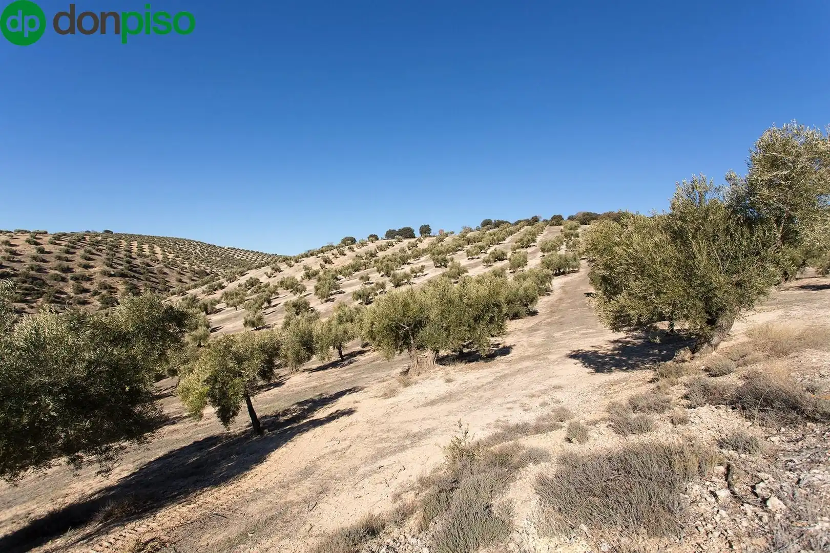 Terreny rústic en venda a Poligono 2 parcela 276 y 409, imagen 16