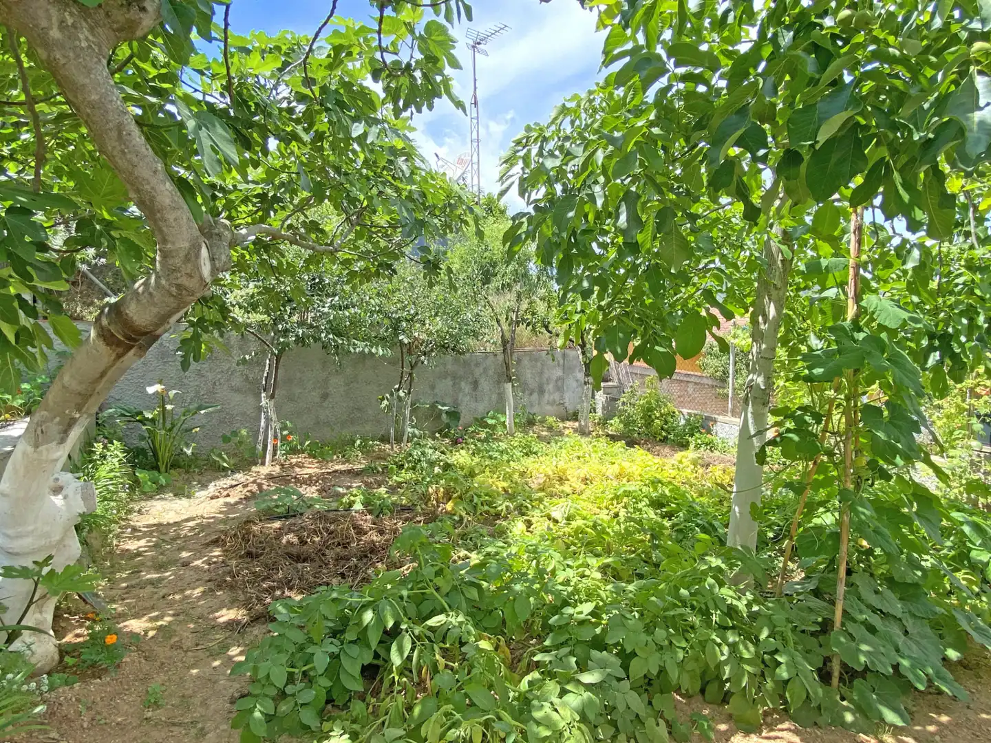 Xalet amb terrassa en venda a Carrer de Pi i Molist, imagen 11