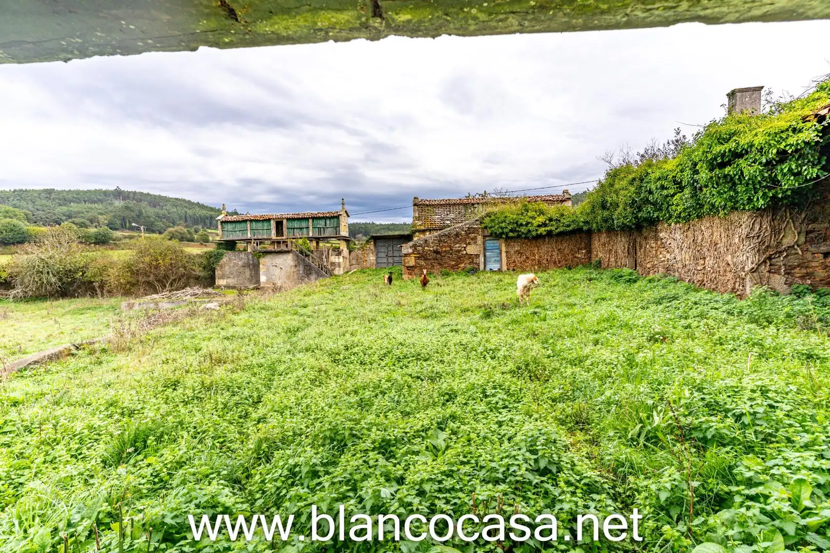 Finca rústica en venta en Coristanco con Jardín privado