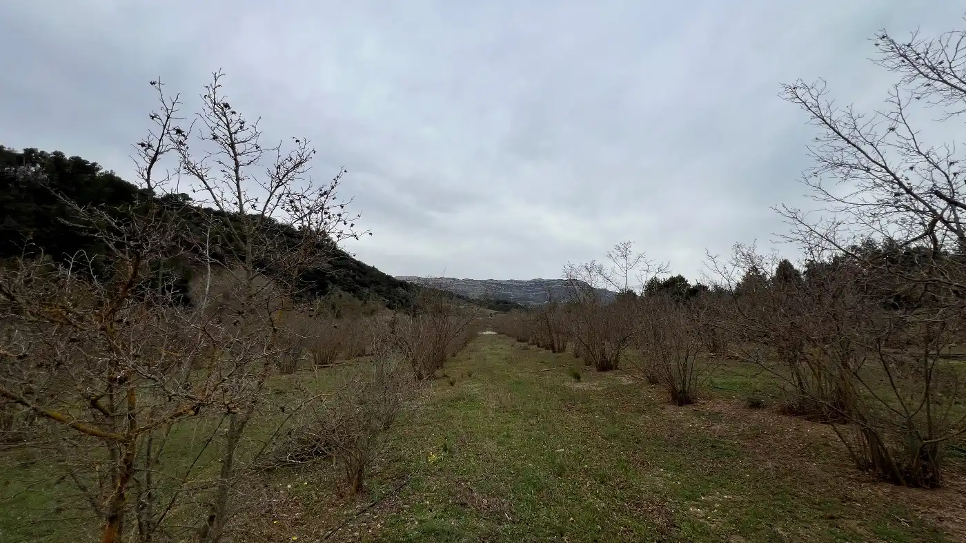 Casa o chalet en venta en C-242, 48, Cornudella de Montsant