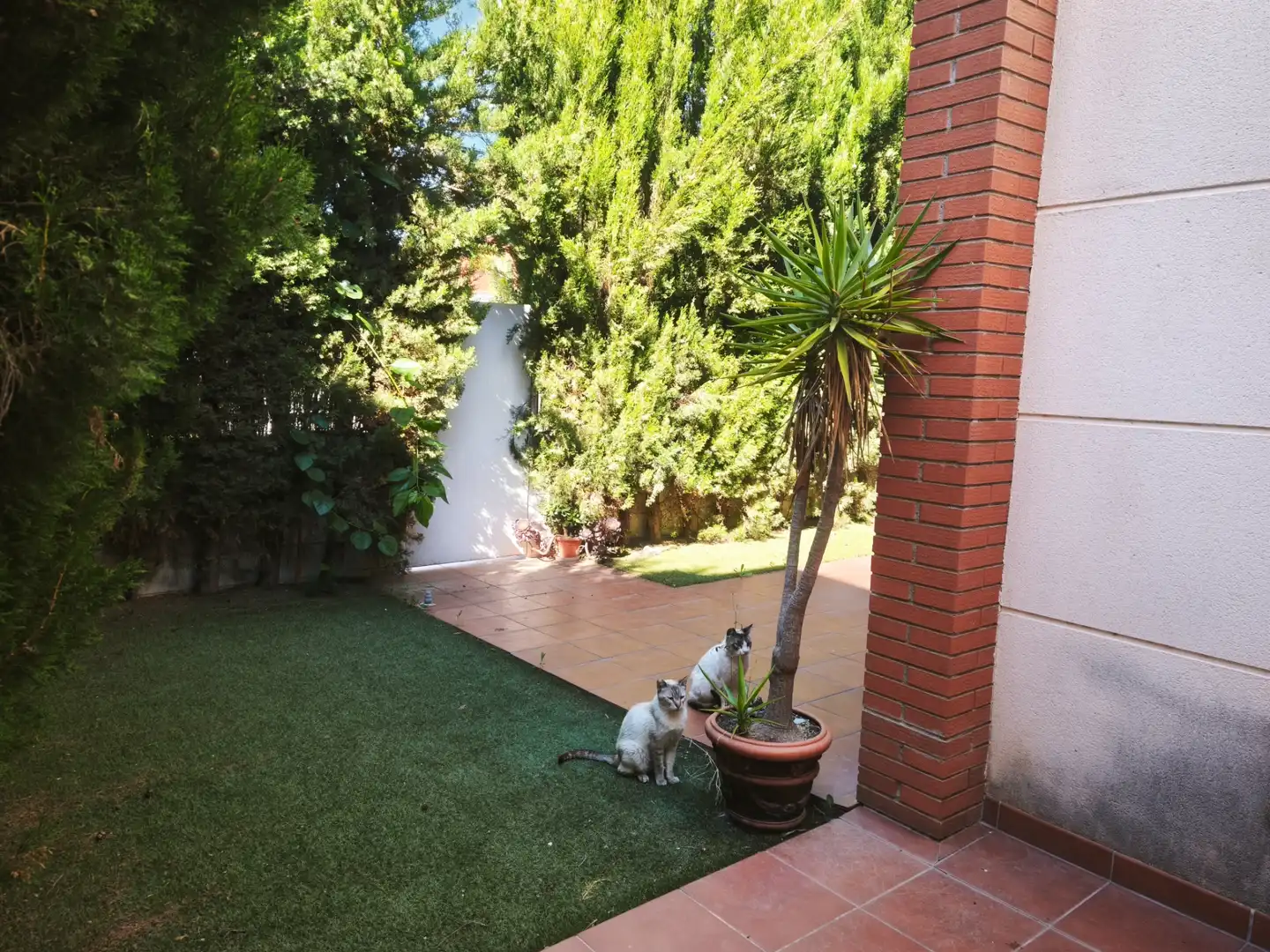 Maison avec piscine à vendre à Vallmoll, imagen 24