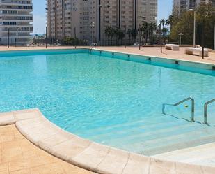 Swimming pool of House or chalet to rent in Cullera  with Terrace, Swimming Pool and Balcony