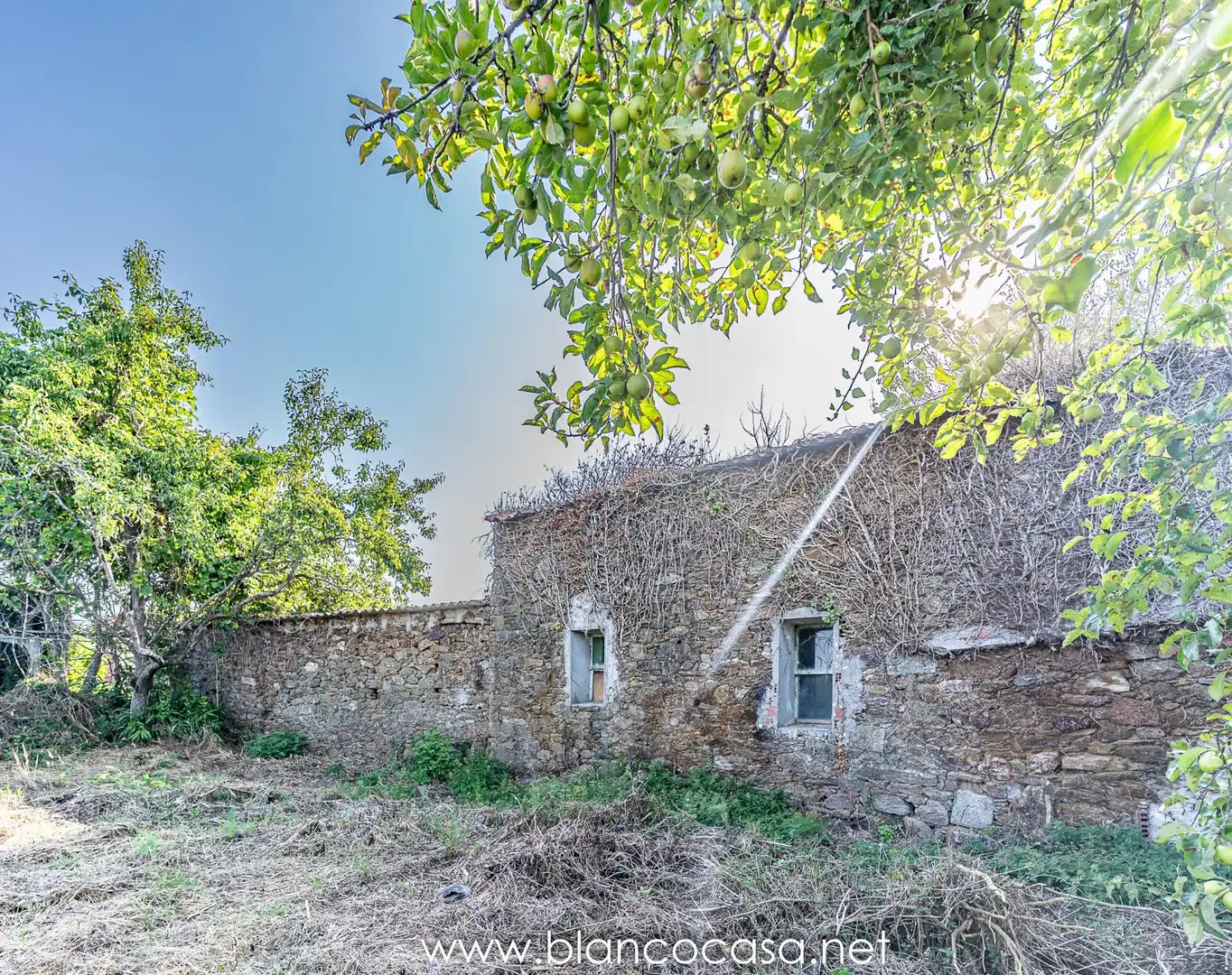 Exterior view of Houses for sale in Carballo  with Private garden