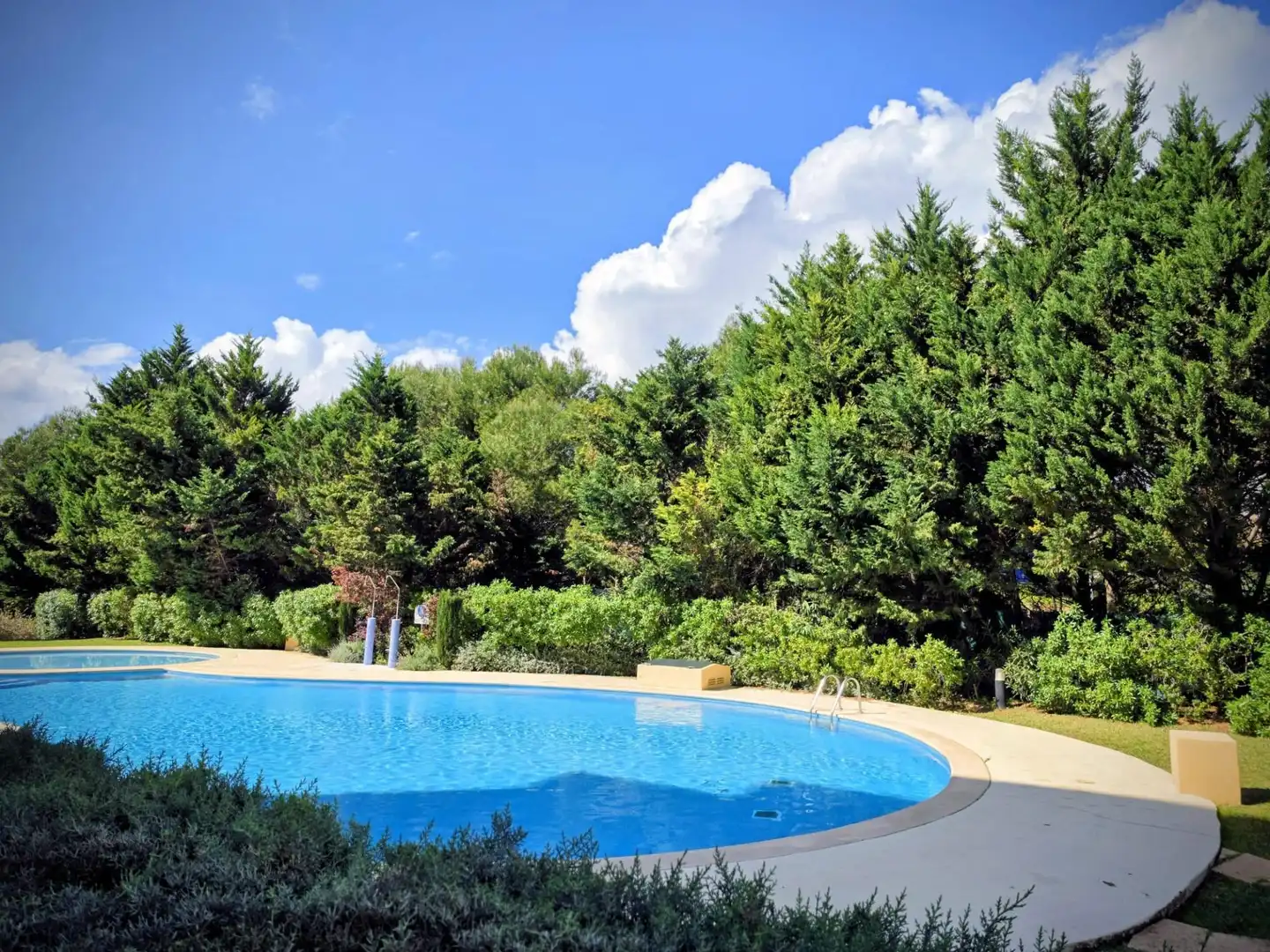 Piscina de Planta baixa en venda en  Palma de Mallorca amb Calefacció, Jardí privat i Terrassa