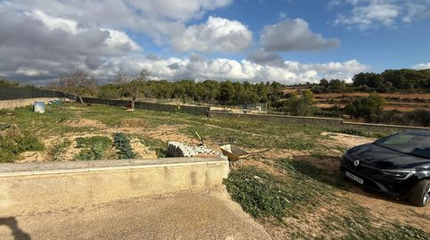 Amplio Solar en LAlzineta, Rodonya  Oportunidad de Inversión, immagine 2