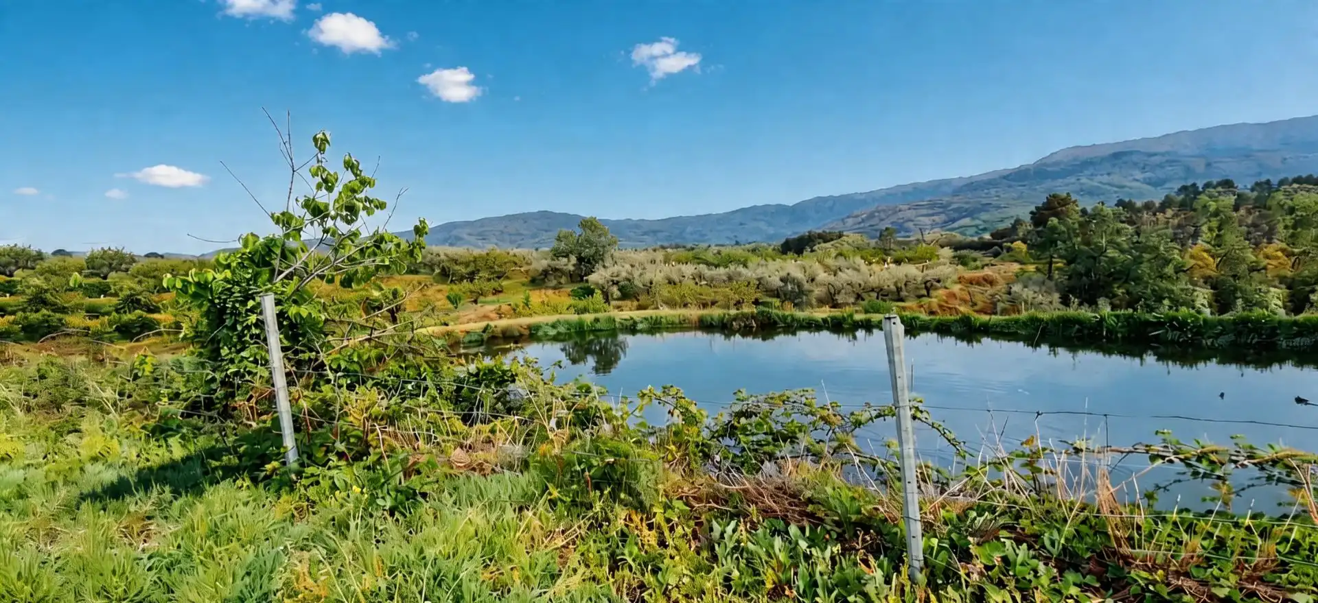 Terreno en venta en Jaraíz de la Vera