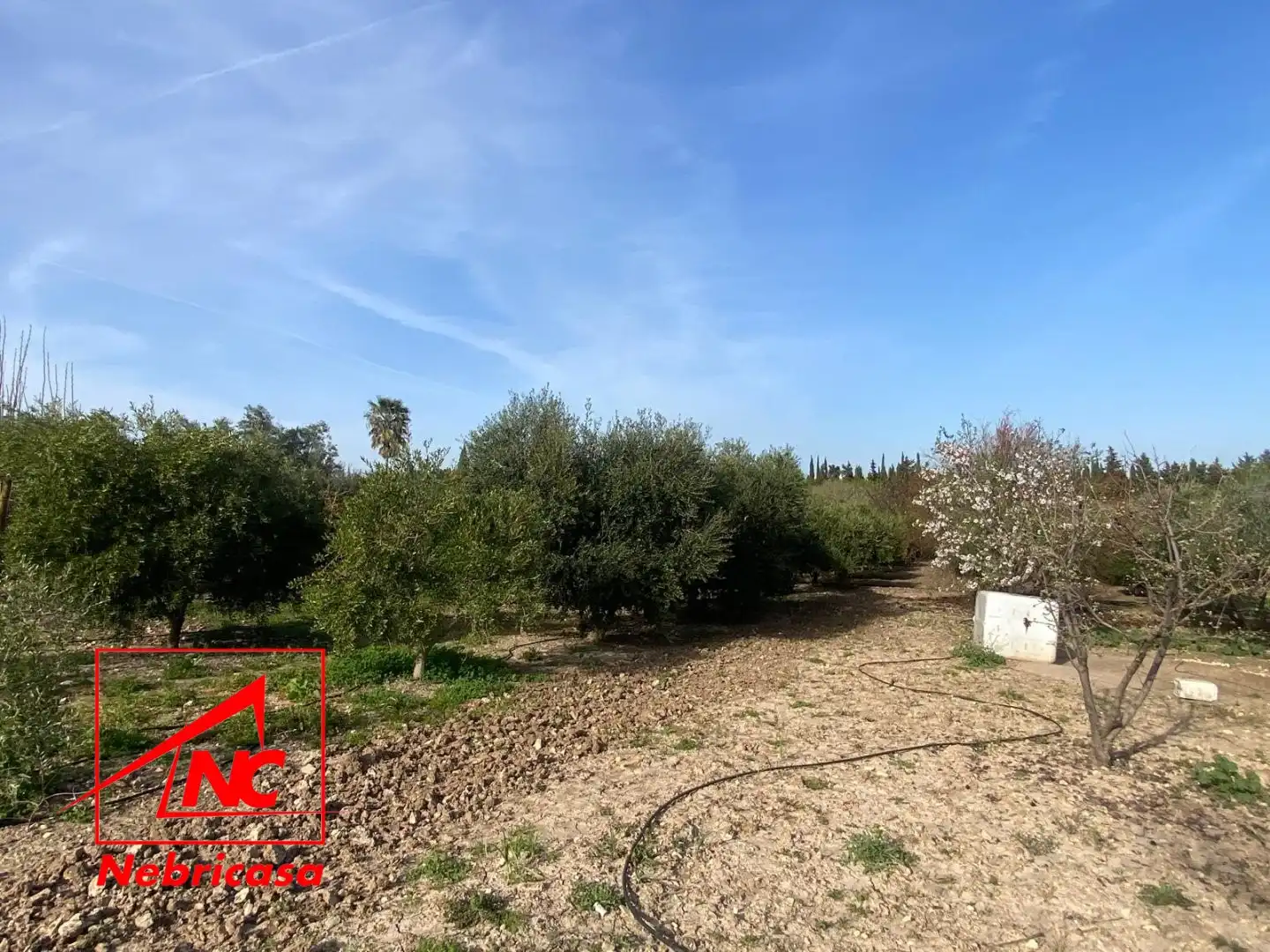 Finca rústica en venta en Las Cabezas de San Juan