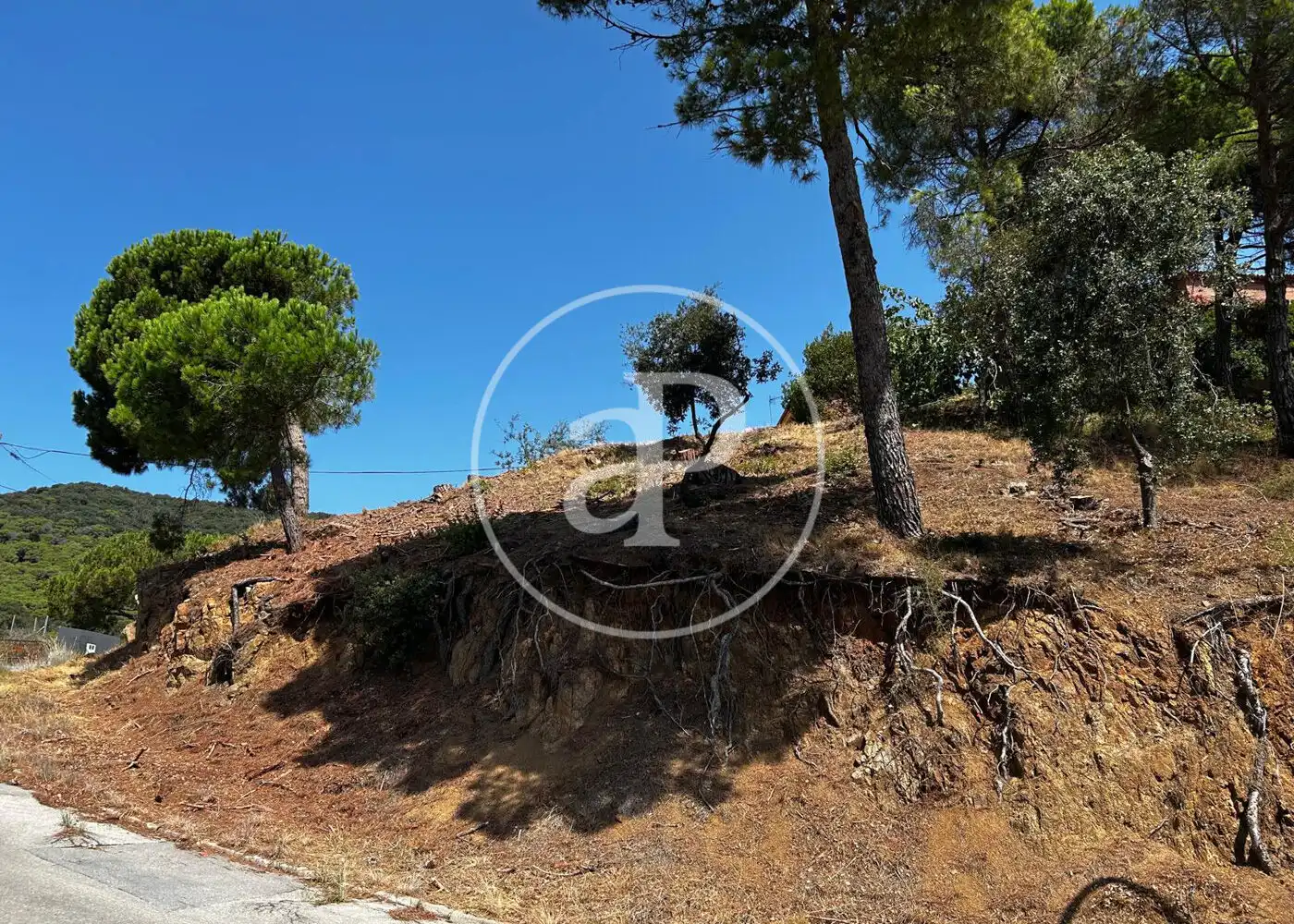 Terreny residencial en venda a Carrer Segarra, imagen 23