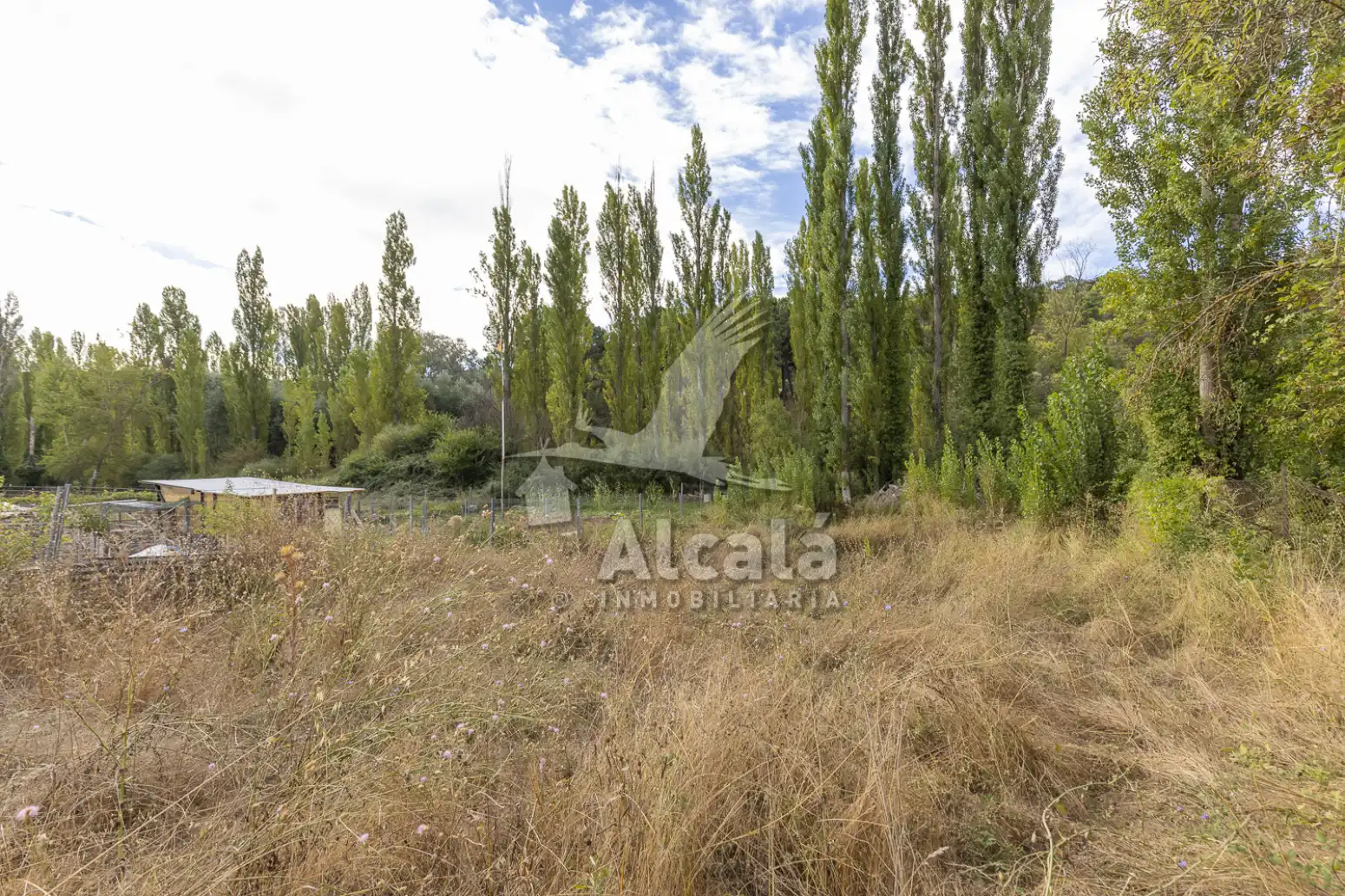 Terreno en venta en Hueva