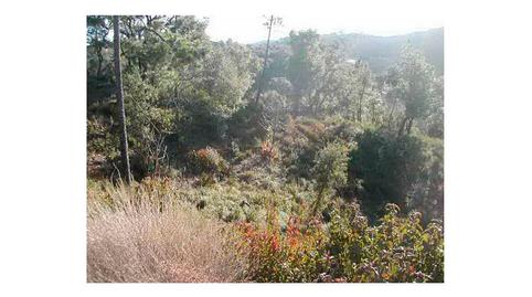 Foto 4 de Residencial en venda a N/a, 5, Fuenteheridos, Huelva