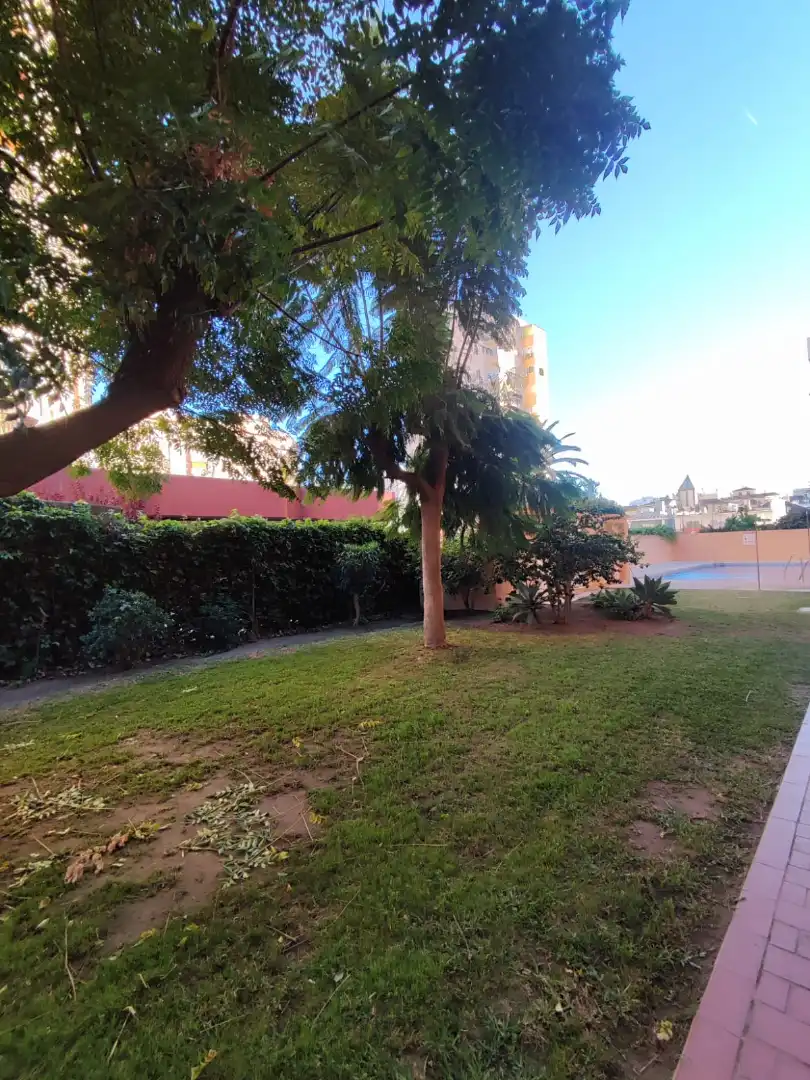 Piso con ascensor en venta en Calle Rodrigo de Triana 4, imagen 31