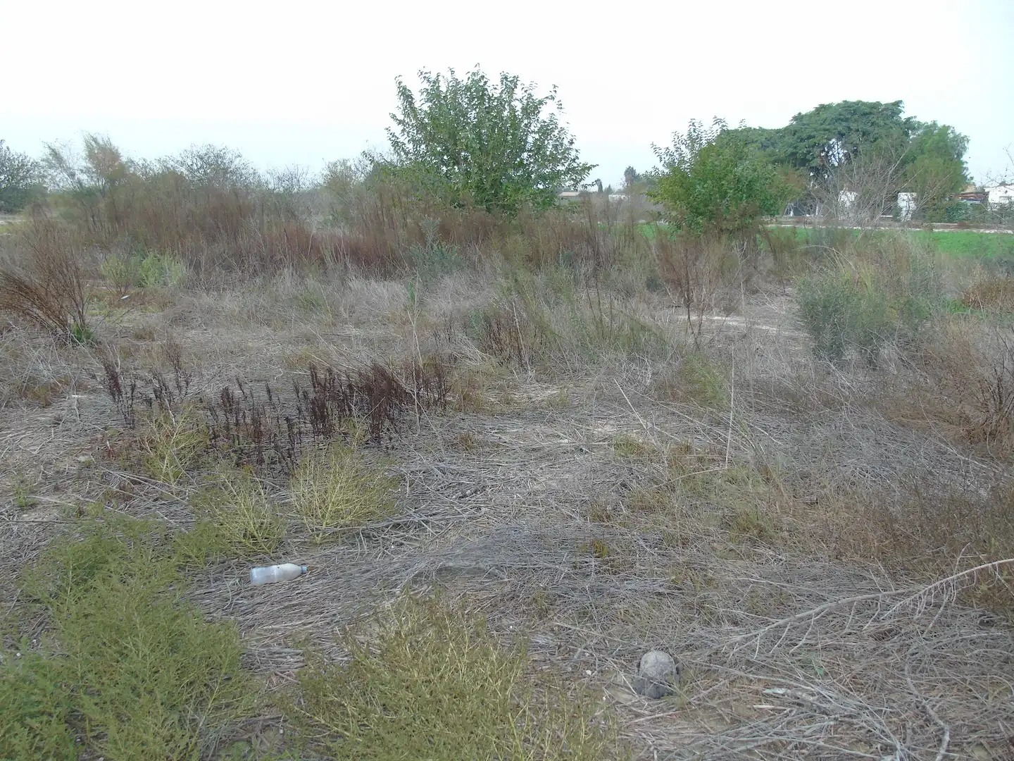 Terreny rústic en venda a Alguazas, imagen 14