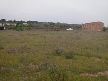 Terreni e lotti in vendita a Partida Mor