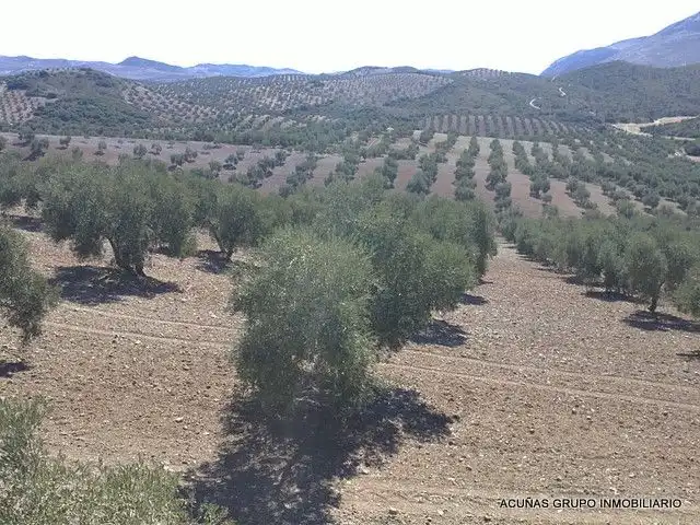 Lands and plots for sale in Bobadilla - Bobadilla Estación - La Joya, imagen 6