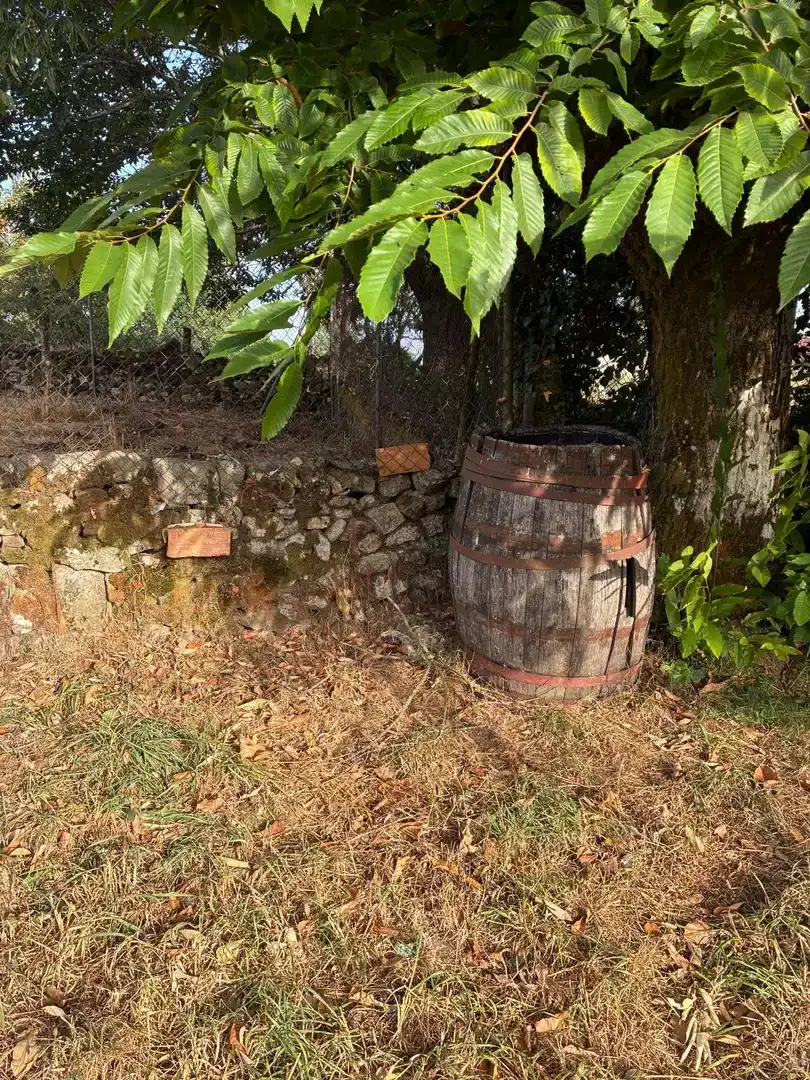 Vista exterior de Casa o chalet en venta en Parada de Sil con Jardín privado, Trastero y Amueblado