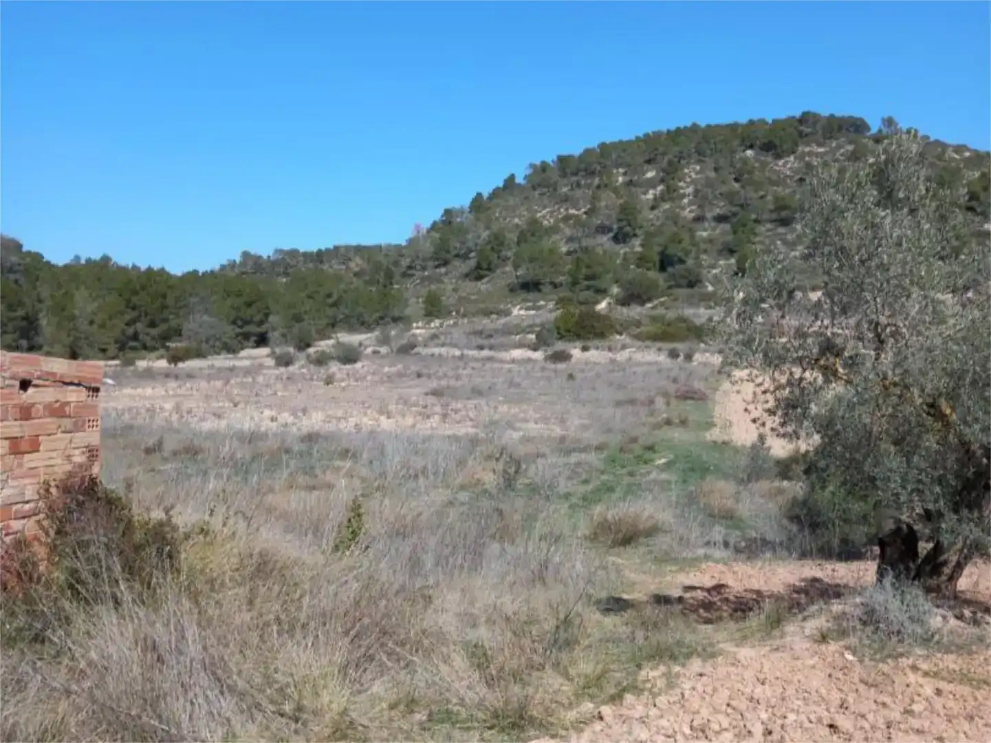 Terreno en venta en Corbera d'Ebre