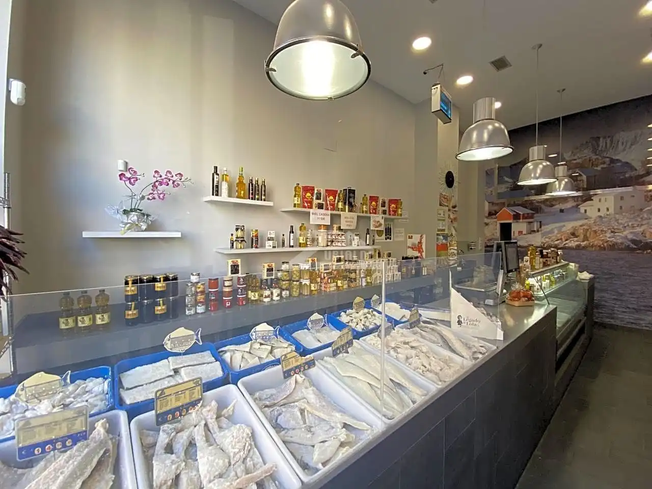 Locale commerciale in affitto a Cruces, imagen 3