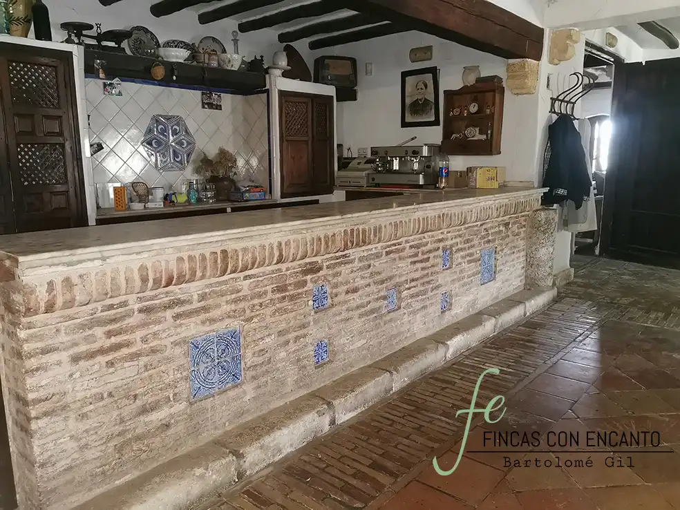Finca rústica en venda en Marchena amb Aire condicionat, Terrassa i Piscina
