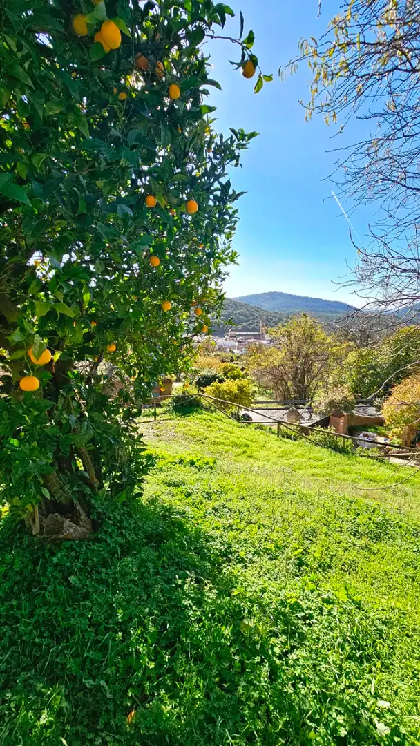 Garden of Houses for sale in Alájar  with Heating, Private garden and Terrace