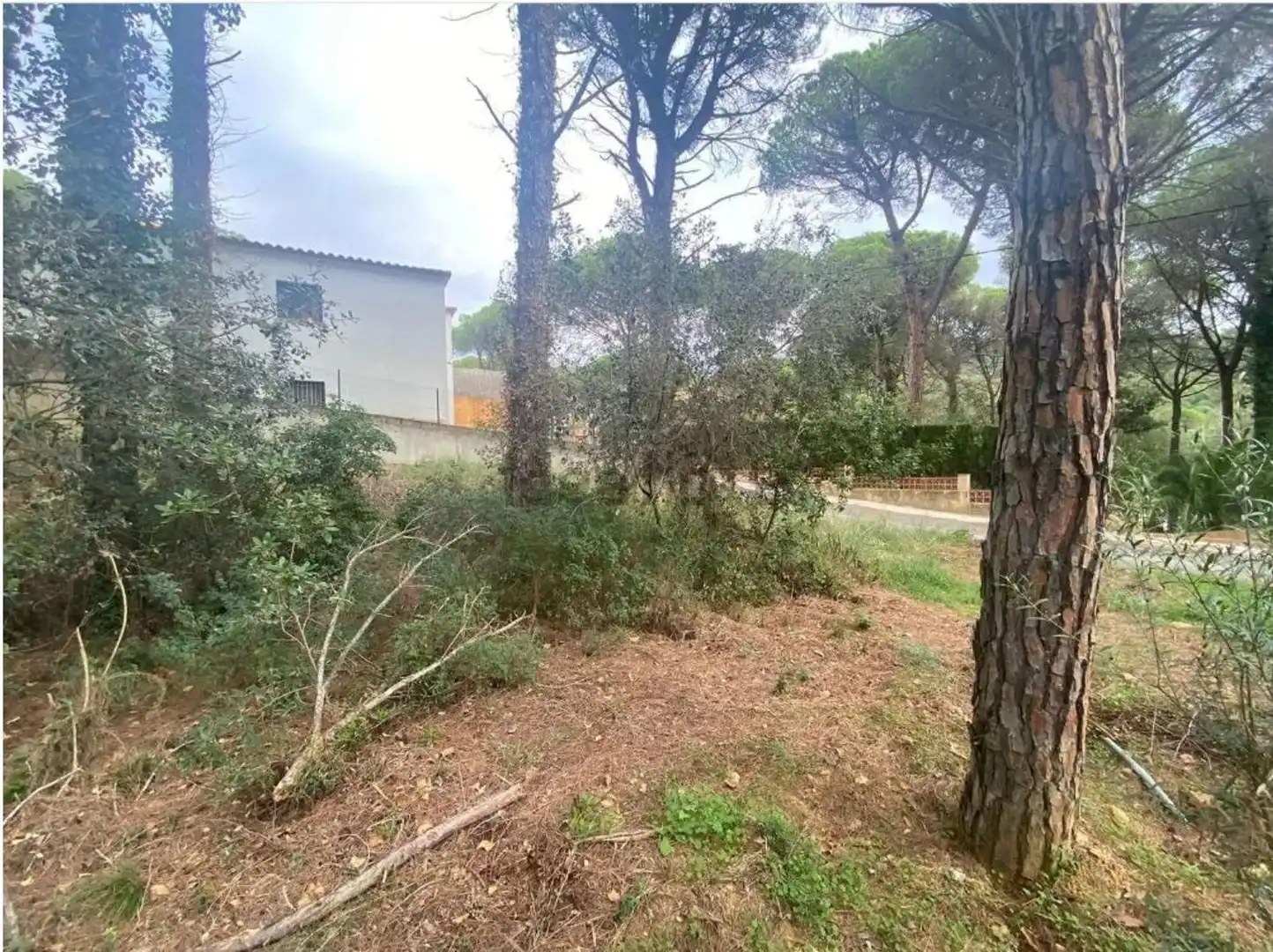 Maison avec jardin à vendre à Mas Pere - Río de Oro, imagen 20