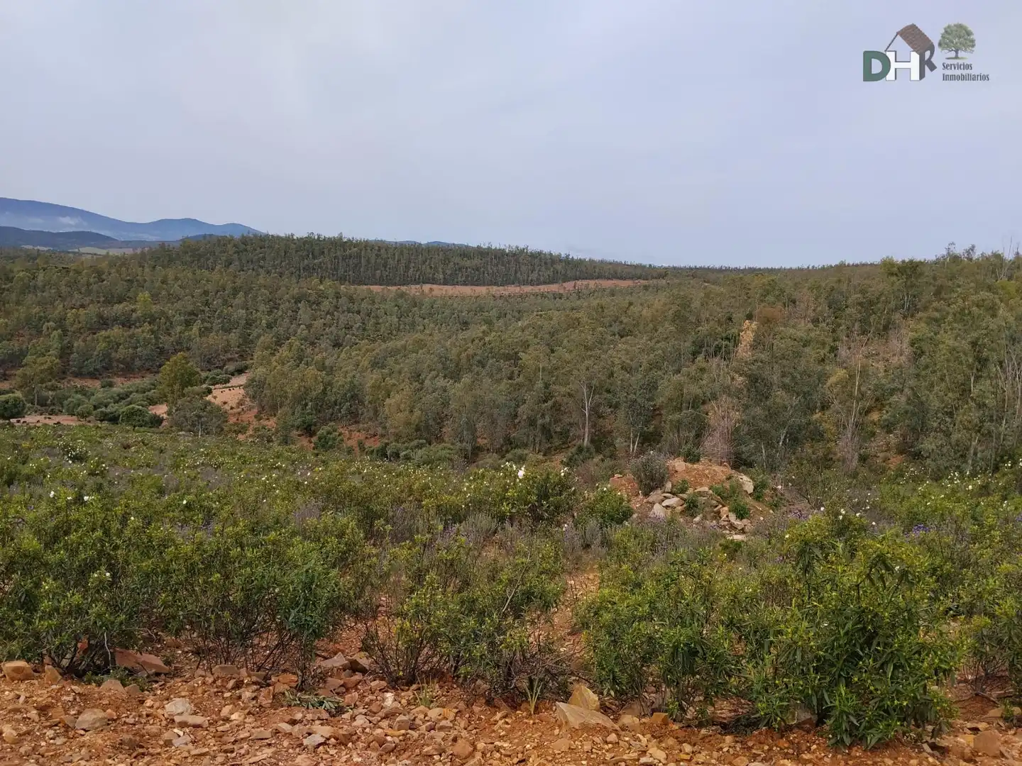 Terreni e lotti in vendita a San Roque - Ronda Norte, imagen 8