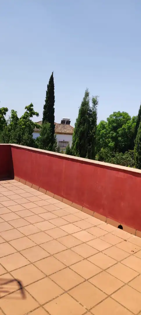 Chalet con jardín en venta en Valencina de la Concepción, imagen 10