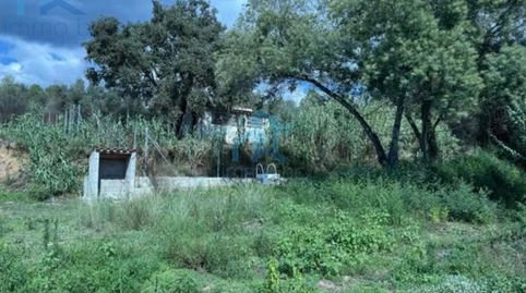 Foto 3 de Finca rústica en venta en Partida Valls, Les Borges del Camp, Tarragona