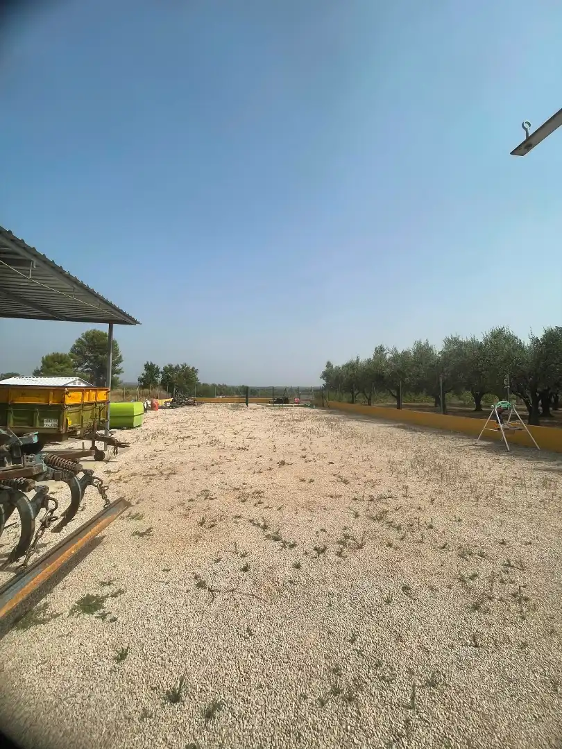 Terreno rustico in vendita a Centro, imagen 6